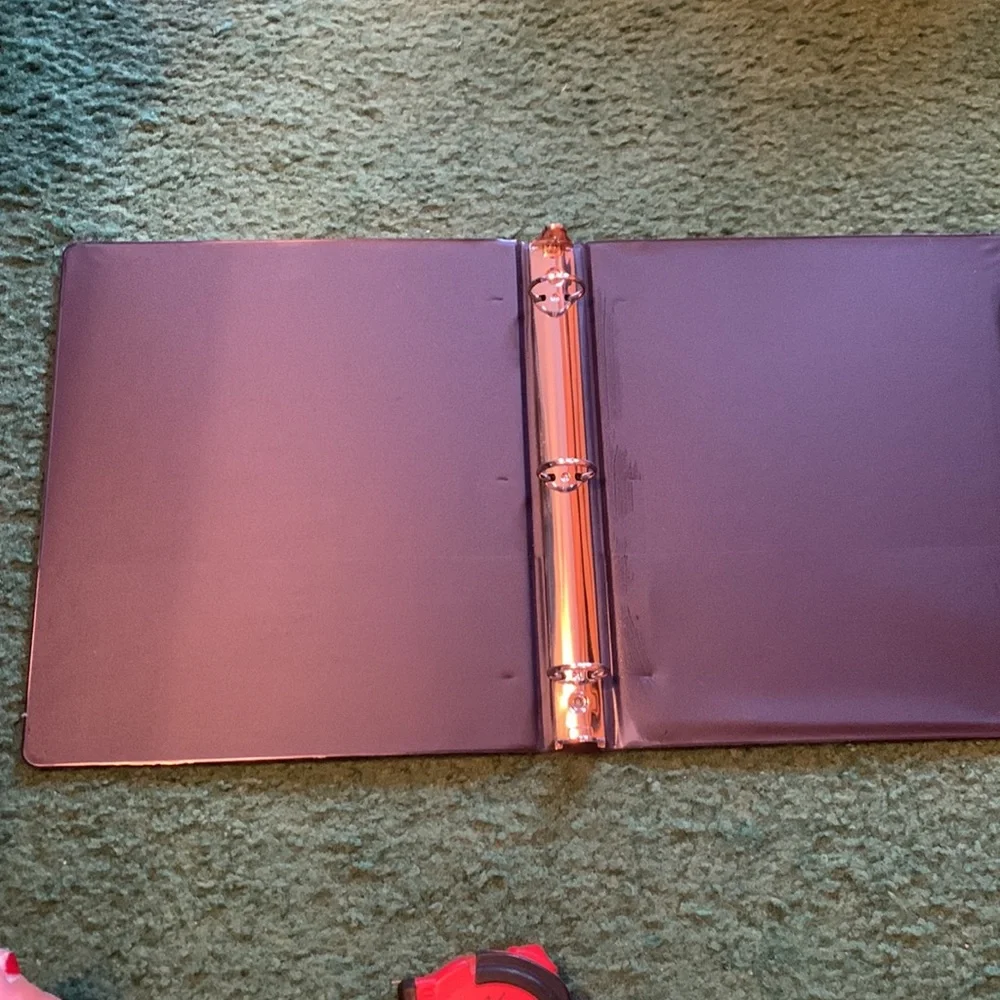2 Penn state binders. Rough measurements in photos.